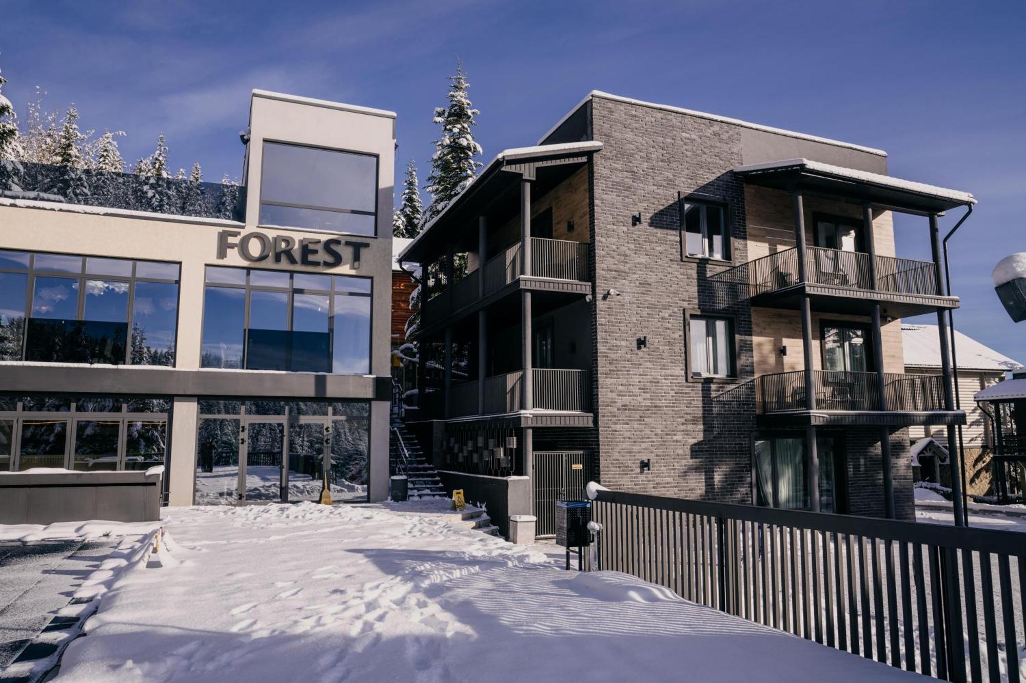 Forest House 미고보 외부 사진